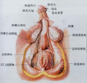 潮湿的口红_潮湿怎么办