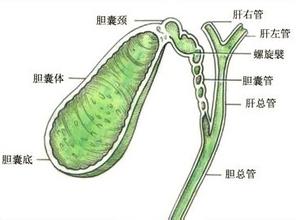 胆管癌患者手术后用化疗吗