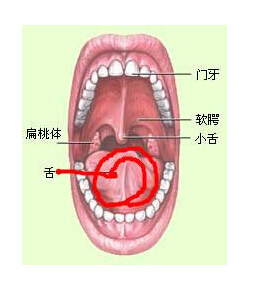 舌癌一般多久复发