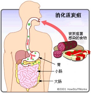 感觉疫情就是对人性的拷问,你们怎么看?