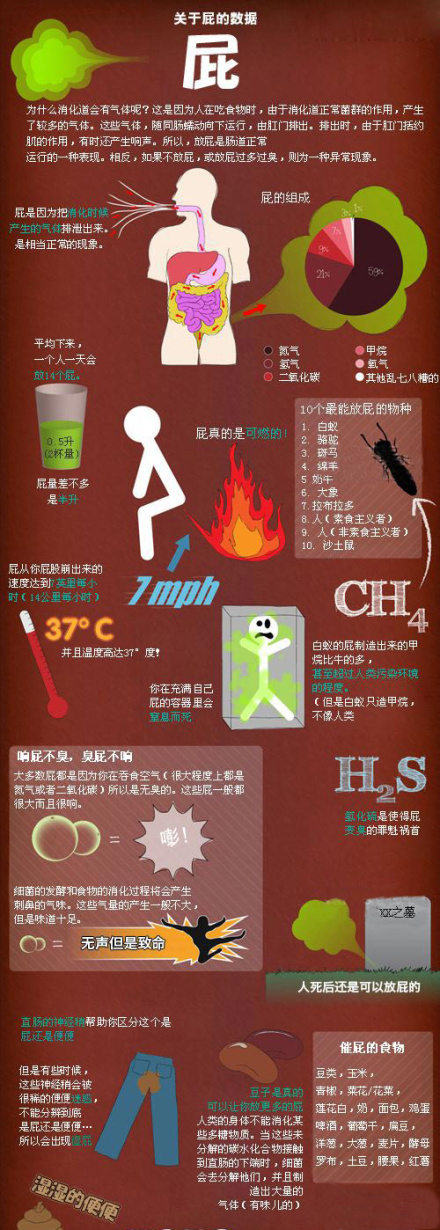 屁是一面镜子
