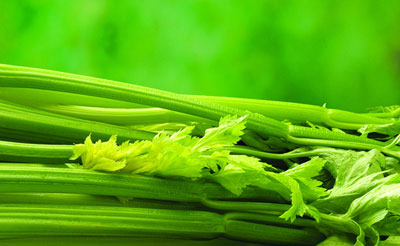 鹿邑：“芹”奋创造财富