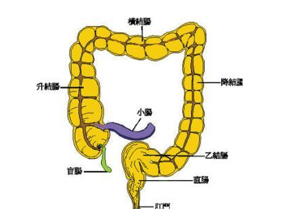 患结肠炎能根除吗