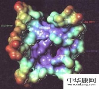 患慢性肝炎,请问现在用药该如何选择