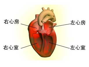 心脏病的早期症状