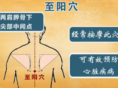 预防冠心病应该如何按摩身体