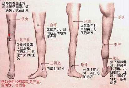 腿部刮痧减肥穴位图