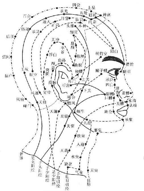 正常人体全身穴位图