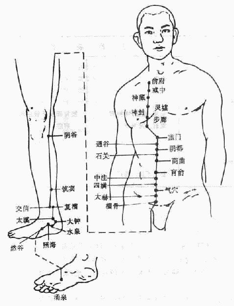 人体十二正经