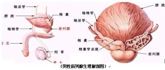 偏方治疗前列腺结核的效果好吗