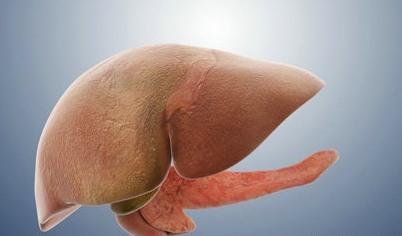 单纯性脂肪肝和脂肪性肝炎的区别是什么