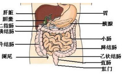 > 外科 > 肛肠科 > 直肠息肉 > 病因  直肠息肉是指直肠内壁突起的