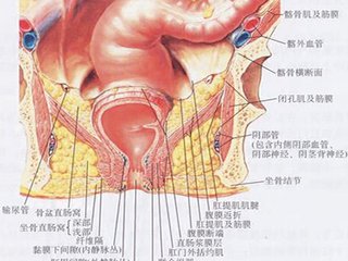 1,肛门瘙痒