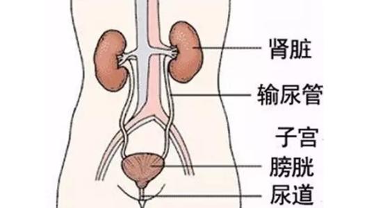 治疗尿道炎的费用高吗