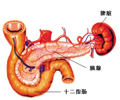 胰腺炎治愈的标准是什么