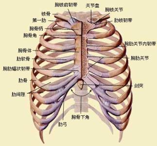 胸肋软骨炎 www.fh21.com.cn