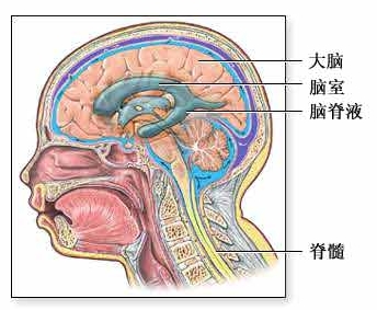 脑积水的常见预防工作