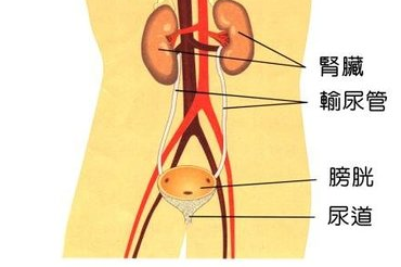 ooYBAFppRXOAWgPLAAGaLcnc_fk578.png