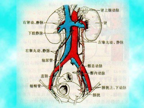 输尿管结石做什么检查会更仔细