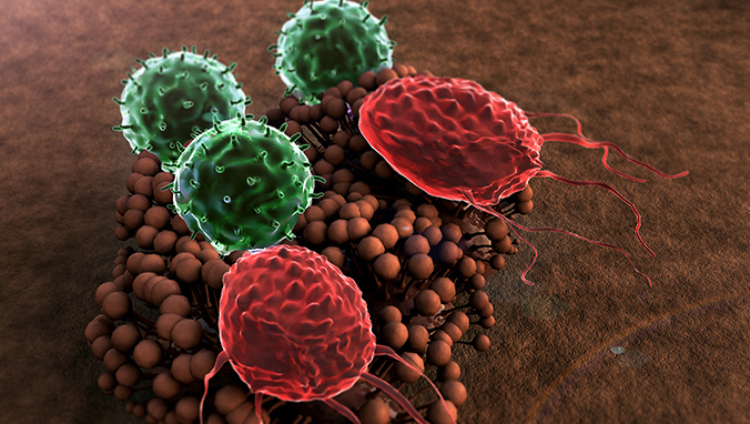 化疗期间肝功高怎么办？