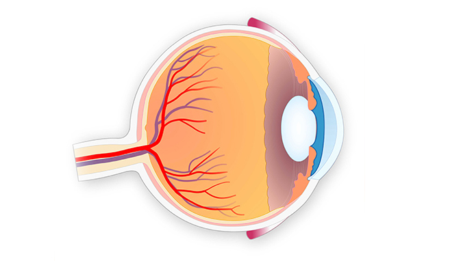 KZF008+中国中医科学院眼科医院眼科亢泽峰+青光眼的分类有哪些.jpg