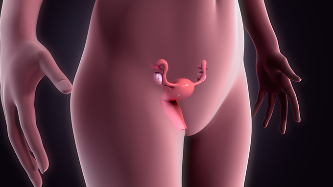 卵巢早衰导致闭经和不孕