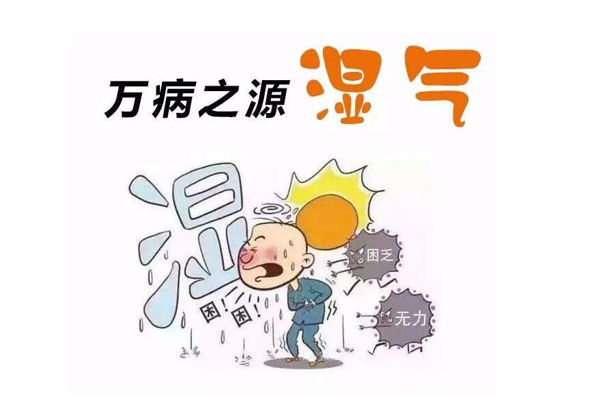 湿气在身体不同部位有什么表现，该如何调理？