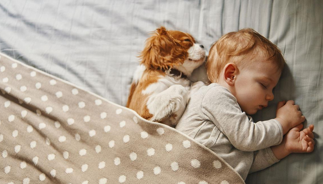 png 023b5bb5c9ea15ce8a00bfb748880efa3b87b230.png