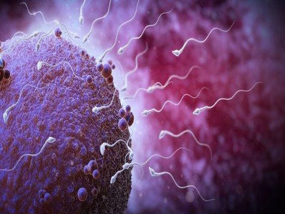 精子在体内多久受孕几率比较大