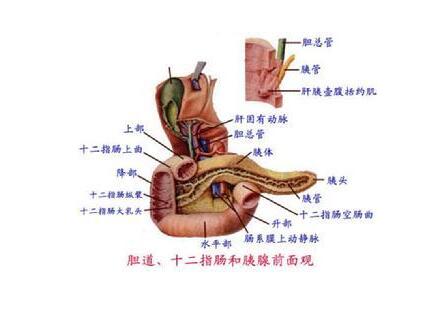 老人口里起粘液_粘液便图片(3)