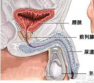 附睪炎的發病原因是非常重要的事情,如果我們沒有得到有效治療的話