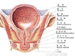 前列腺医院排名_医院取前列腺液图片