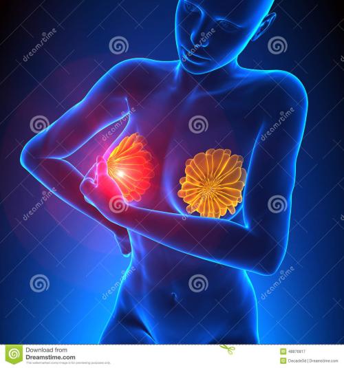 乳腺炎的症状特点是什么