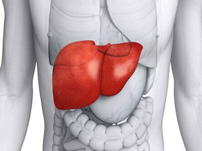 肝胆的症状表现