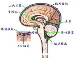 什么是电解质紊乱的症状 ooYBAFpwFbKAIkl1AAAv3SQY0JE79.jpeg