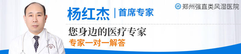 杨红杰 主治医师